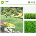 【草皮達人】人工草皮PE-3.0cm 夏綠地 每平方公尺NT700元(量大可議) 園藝 景觀 裝潢 空間設計