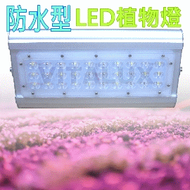 [訂製品] VITALUX新防水型LED植物燈(P1光譜)寬面積/台灣製/紅藍複合光譜(＊多光譜,多波段,led 植物生長燈;植物照明燈)