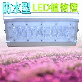 [訂製品] VITALUX新防水型LED植物燈(P2光譜)寬面積/台灣製/紅藍複合光譜(＊多光譜,多波段,led 植物生長燈;植物照明燈)
