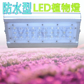 [訂製品] VITALUX新防水型LED植物燈(P4光譜)寬面積/台灣製/紅藍複合光譜(＊多光譜,多波段,led 植物生長燈;植物照明燈)