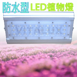 [訂製品] VITALUX新防水型LED植物燈(F1光譜)寬面積/台灣製/紅白混光全光譜(＊多光譜,多波段,led 植物生長燈;植物照明燈)