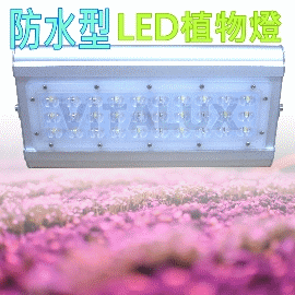 [訂製品] VITALUX新防水型LED植物燈(F4光譜)寬面積/台灣製/紅白混光全光譜(＊多光譜,多波段,led 植物生長燈;植物照明燈)