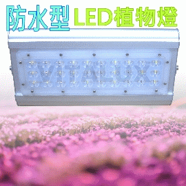 [訂製品] VITALUX新防水型LED植物燈(Y3光譜)寬面積/台灣製/紅&amp;暖白混光全光譜(＊多光譜,多波段,led 植物生長燈;植物照明燈)