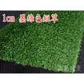 人工草皮~草高1cm(寬100cm) 每單位長30cm “零售” 塑膠草皮 人造草皮