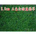 人工草皮~草高2.5cm(寬100cm) 每單位長30cm “零售” 三色全綠直捲草 塑膠草皮 人造草皮