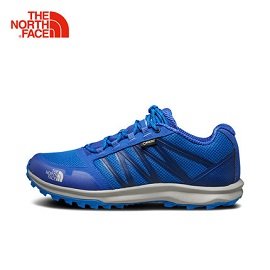 [ THE NORTH FACE ] 男 GORE-TEX 防水透氣 低筒徒步鞋 藍 / 特價品 / NF0A3FX4MTB