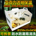 [投資團購批發]亞克力透明爬蟲飼養箱盒子爬蟲用品爬寵箱鳴蟲缸 蜥蜴龜箱5入