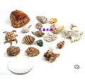 [投資團購批發]螺海螺貝殼寄居蟹魚水族裝飾擺件一個魚缸水族箱造景裝飾品20入