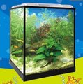 [投資團購批發]萊歐簡易正方形魚缸20L玻璃魚缸爬蟲缸水族缸迷你缸20入