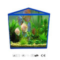 [投資團購批發]萊歐小魚缸萊歐三角形玻璃魚缸水族器材水族箱ROHS認證5L20入