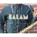 亞洲樂器 The Balam Back Strap 蕯克斯風背帶 / 吊帶、SAX、韓國品牌、韓國製造、真皮、方便收納可放入薩克斯風管口