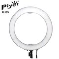 Piyet RL19S LED環形攝影燈-送變壓器