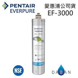 EF-3000 愛惠浦濾芯 贈7-11禮卷$300 EVERPURE 台灣愛惠浦 公司貨 濕式碳纖活性碳 EF3000 濾心