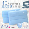 【CERES】4D透氣涼感冰絲枕(B0014)