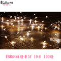 USB 銅線燈串 5V 10米 100燈 (C-WF-LED060)