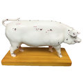 動物針灸模型 : 豬 23CMx14CM(脊椎矯正 按摩床 整脊床 頓壓床 脊椎模型 推拿 穴道 經絡 整復)
