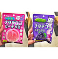 『現貨』日本 Lion 獅王 方型軟糖 骰子軟糖 果凍軟糖 水蜜桃 葡萄 44g