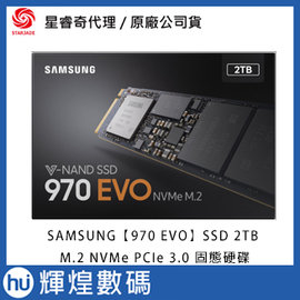 SAMSUNG 三星 SSD 2TB 970 EVO【MZ-V7E2T0BW】M.2 PCIe 3.0 NVMe固態硬碟