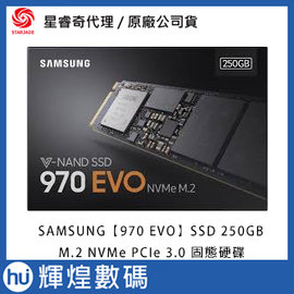 SAMSUNG SSD 250GB970 EVO【MZ-V7E250BW】M.2 PCIe 3.0 NVMe 固態硬碟