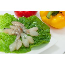 無料印刷可能海松 貝 最高の花の画像 無料印刷可能海松 貝 最高の花の画像