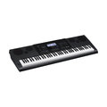【金聲樂器】CASIO WK-6600 76鍵 電子琴 伴奏琴 附琴架 琴袋 分期零利率 WK 6600