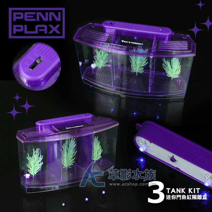 【AC草影】PENN-PLAX 龐貝 LED鬥魚缸/隔離盒（三格）【一個】