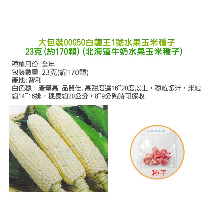 【蔬菜之家】大包裝G50.白龍王1號水果玉米種子23克(約170顆)(北海道牛奶水果玉米種子)