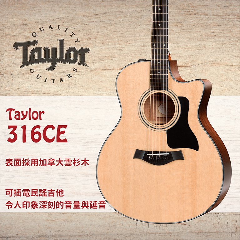 【非凡樂器】 taylor 【 316 ce 】 美國知名品牌電木吉他 樂手最愛 公司貨保固