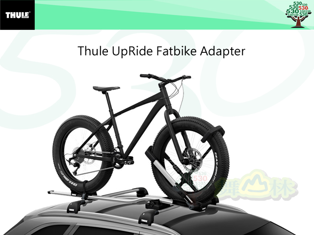 thule fatbike