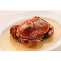 【新鮮吧Freshbar】霸王蟹母蟹（德文郡蟹、麵包蟹、玫瑰蟹）Brown Crab_500g(隻)/3隻入