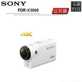 SONY FDR-X3000 4K運動攝影機 《公司貨》