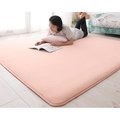 珊瑚絨地墊地毯臥室床邊地毯飄窗墊地毯客廳地毯(911元)