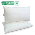 PA2215 枕頭-防蹣壓縮枕＊超輕型纖維棉＊防蹣抗菌＊奧斯汀台灣製