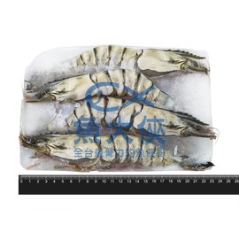 野生海草蝦(實重430g/4尾/盒)#430-1C4A【魚大俠】SP071