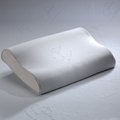 ＊PA511A 枕頭 - 奈米銀乳膠枕＊吸濕排汗纖維＊乳膠＊防蹣抗菌＊奧斯汀