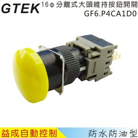 GTEKφ16mm大頭維持按鈕開關GF6.P4CA1D