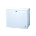 (豐億電器)-(SANLUX三洋)306公升冷凍櫃(SCF-306WE)