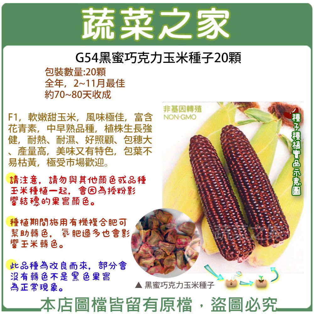 蔬菜之家 G54黑蜜巧克力玉米種子20顆 Pchome商店街 台灣no 1 網路開店平台