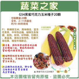 【蔬菜之家】G54黑蜜巧克力玉米種子20顆 種子 園藝 園藝用品 園藝資材 園藝盆栽 園藝裝飾