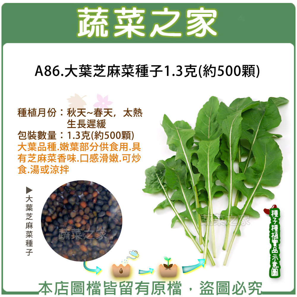 蔬菜之家 A86 大葉芝麻菜種子1 3克 約500顆 Pchome商店街 台灣no 1 網路開店平台