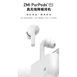 ZMI紫米PurPods Pro 真無線降噪耳機 主動降噪無線藍牙耳機