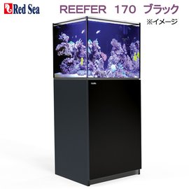 魚缸長60cm 微笑的魚水族 Pchome商店街 台灣no 1 網路開店平台 魚缸長60cm 微笑的魚水族 Pchome商店街 台灣no 1 網路開店平台