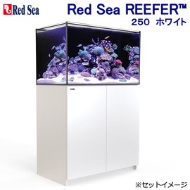 微笑的魚水族 以色列red Sea 紅海 Reefer 250 套缸 白 90cm 3尺 海水缸 超白缸 Pchome商店街 台灣no 1 網路開店平台