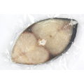 【冷凍魚類】土魠魚片(厚切)/約250g±5%(無肚洞)