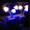 種子貓蘑菇小夜燈 自動感應白天關閉，夜晚自動開啟