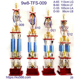 9w8-TFS-009_a-6500元,B-6000元,C-5500元,D-5000元,水晶,琉璃獎牌製作推薦,台南