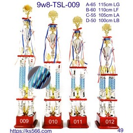 9w8-TSL-009_a-9000元,B-8000元,C-7500元,D-6500元,水晶,琉璃獎牌製作推薦,台南