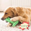 [拉拉百貨]大型犬-狗狗磨牙棒 寵物神器 刷牙 護齒 潔牙棒 橡膠 寵物玩具 耐咬 大型犬 中型犬 小型犬