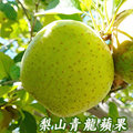 梨山青龍蘋果7A9台斤-單果-3.4兩-4.1兩-128g-153g-青龍蘋果產期10月初