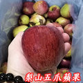 梨山五爪蘋果6A9台斤-單果4.5-5.5兩170g-206g-梨山五爪蘋果產期10月初